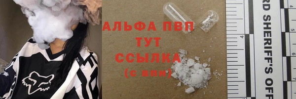 PSILOCYBIN Заводоуковск