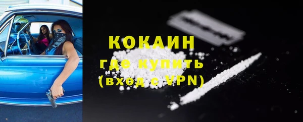 PSILOCYBIN Заводоуковск