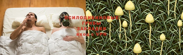 гидра Заволжье