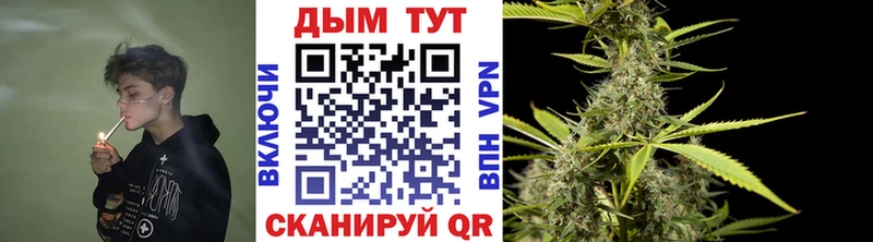 Купить где  Звенигород  Конопля MAZAR 